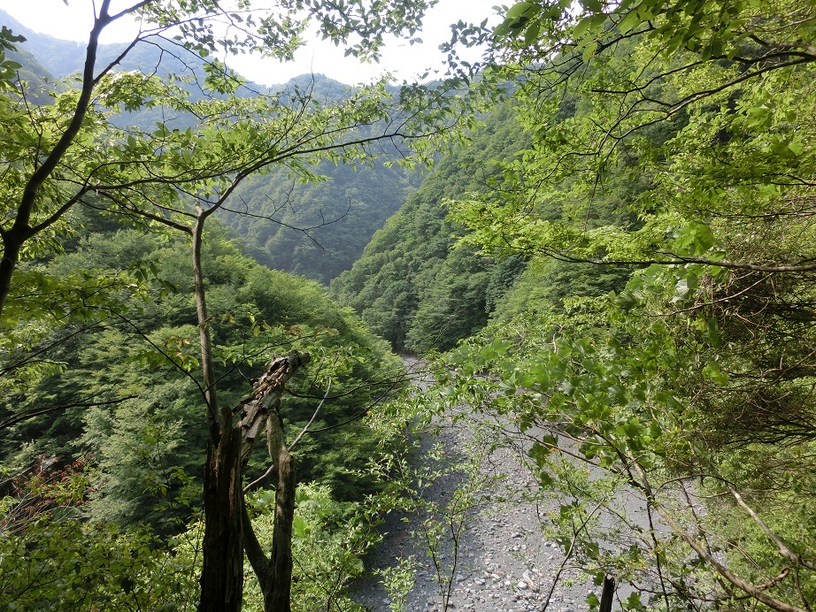 f:id:msx4:20161102201211j:plain