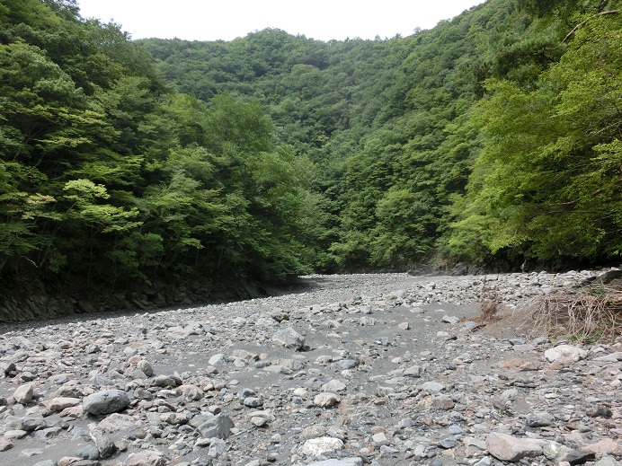 f:id:msx4:20161102203040j:plain