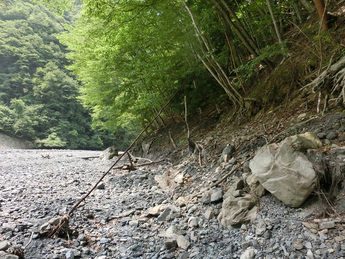 f:id:msx4:20161102203449j:plain