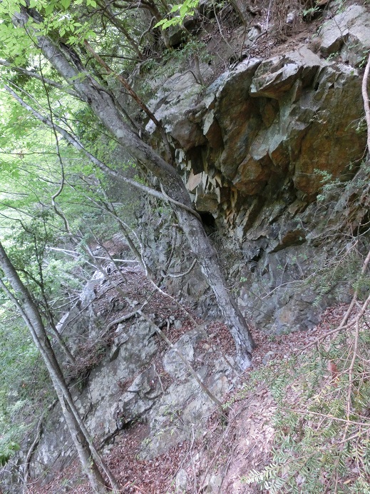 f:id:msx4:20161102204143j:plain