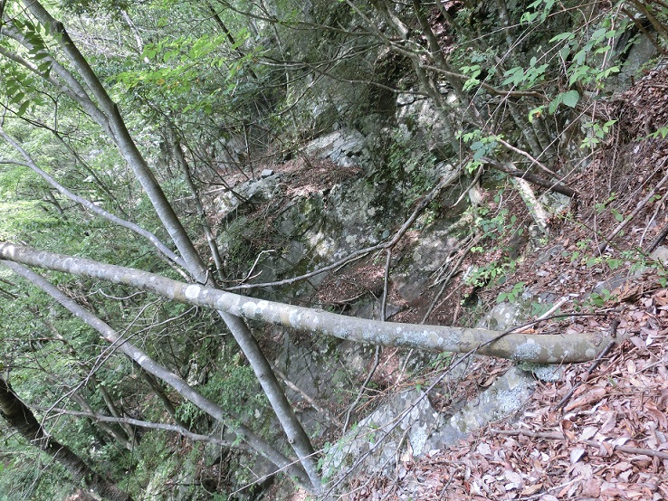 f:id:msx4:20161102204559j:plain