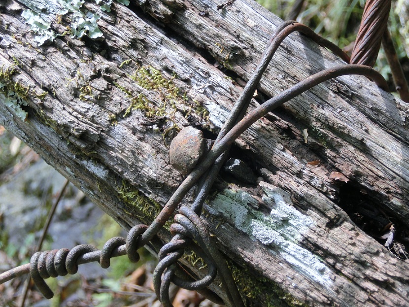 f:id:msx4:20161204214252j:plain