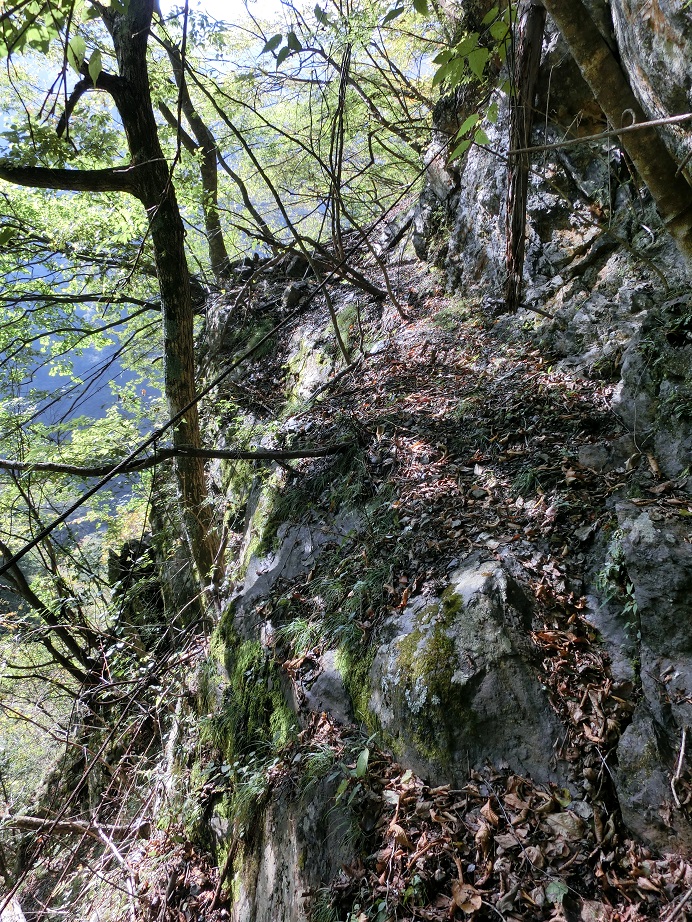 f:id:msx4:20161204214515j:plain