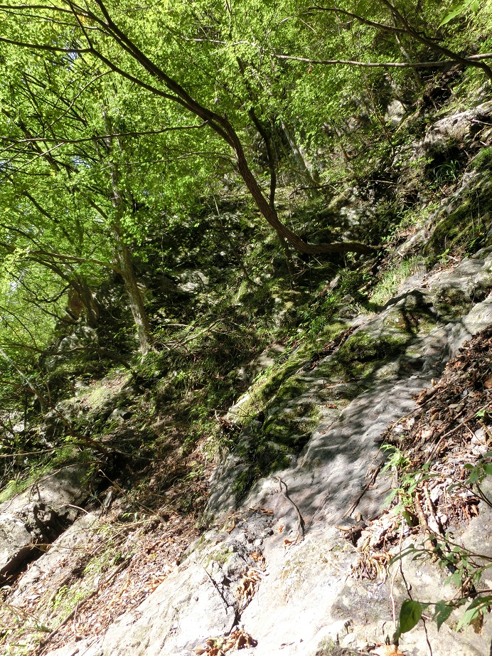 f:id:msx4:20161204215106j:plain