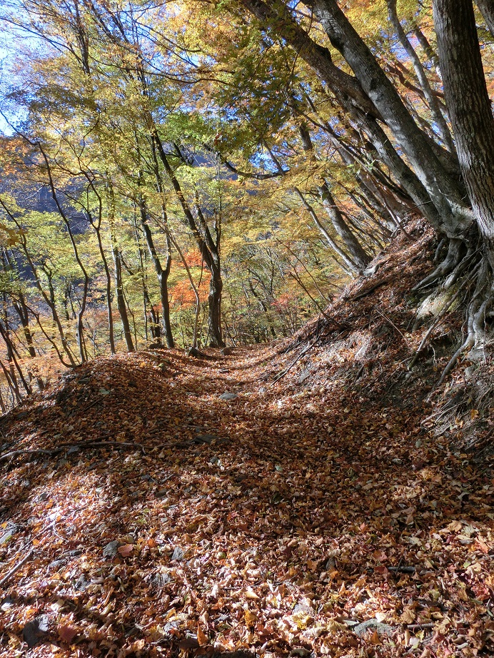 f:id:msx4:20161204222153j:plain