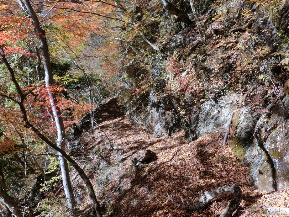 f:id:msx4:20161204230155j:plain