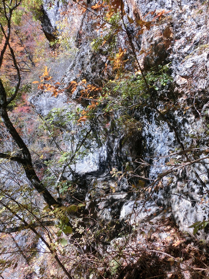 f:id:msx4:20161204231512j:plain