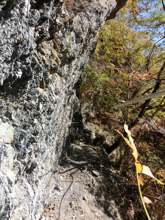 f:id:msx4:20161204235308j:plain