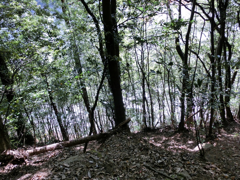 f:id:msx4:20170425012235j:plain