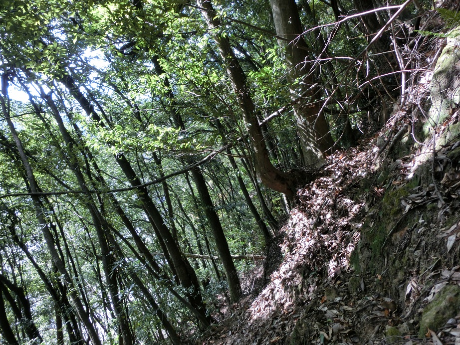 f:id:msx4:20170425012349j:plain