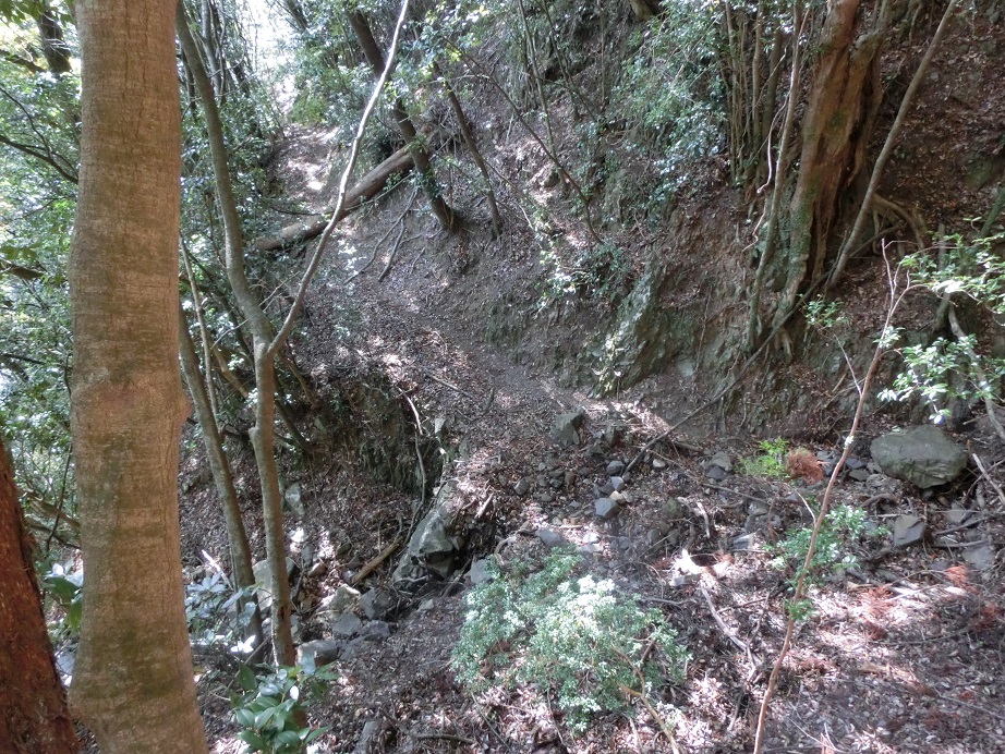 f:id:msx4:20170425013212j:plain