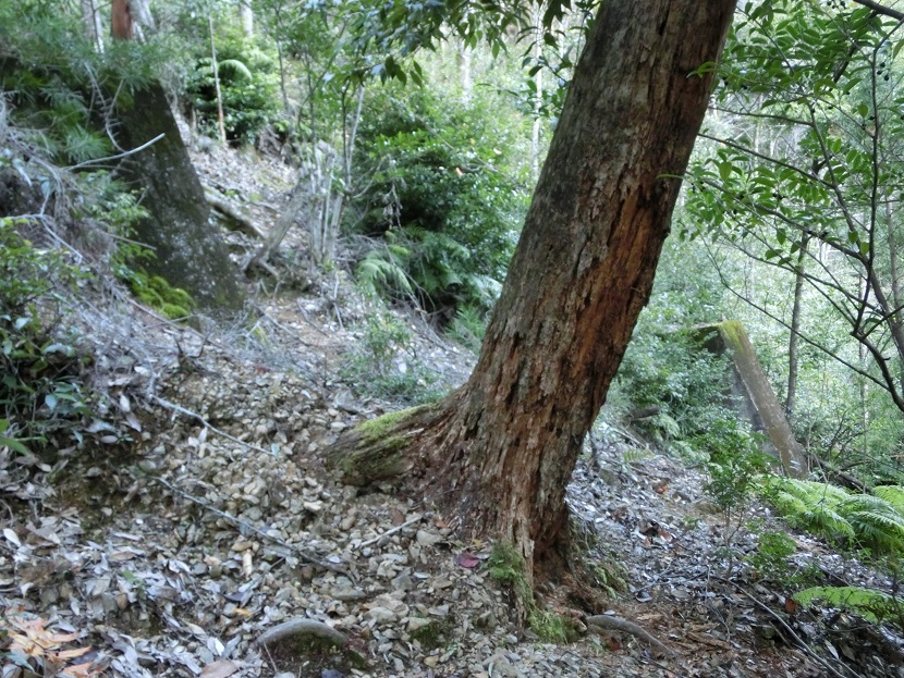 f:id:msx4:20170607164620j:plain