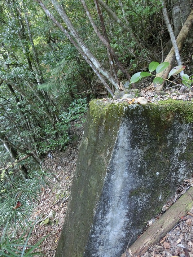 f:id:msx4:20170607164757j:plain