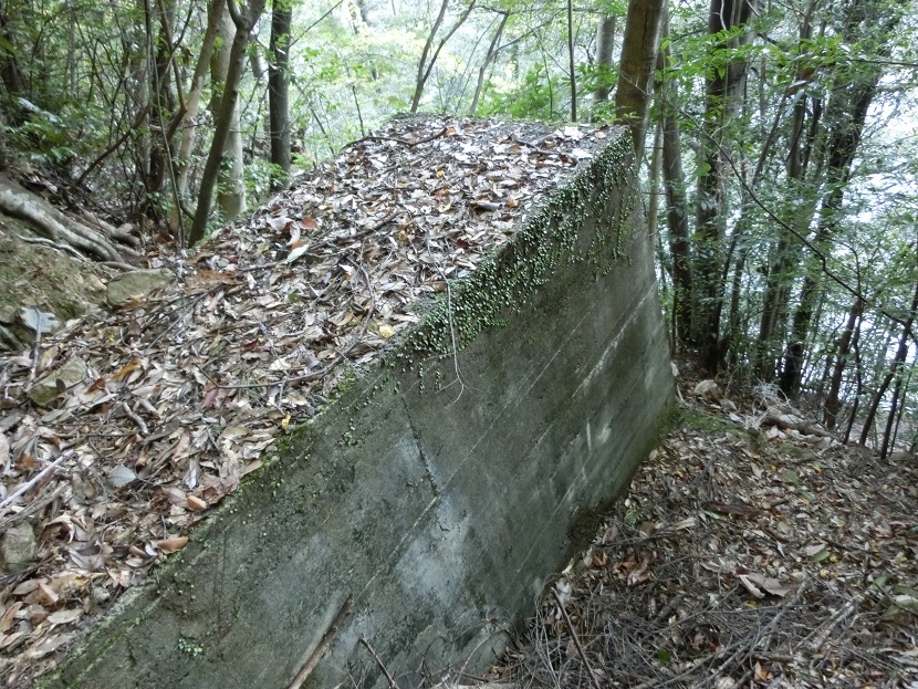 f:id:msx4:20170607164834j:plain