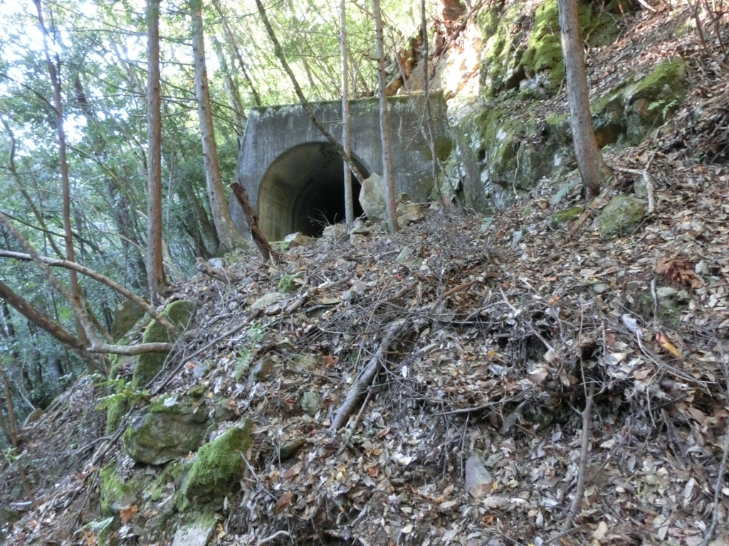 f:id:msx4:20170607171516j:plain