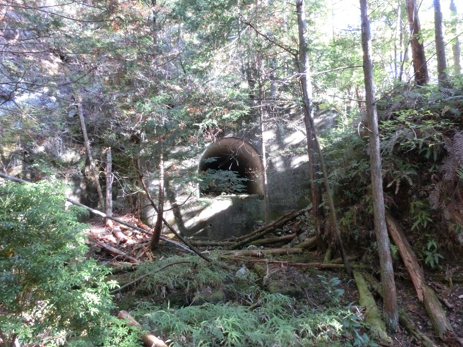 f:id:msx4:20170613155620j:plain f:id:msx4:20170613155620j:plain