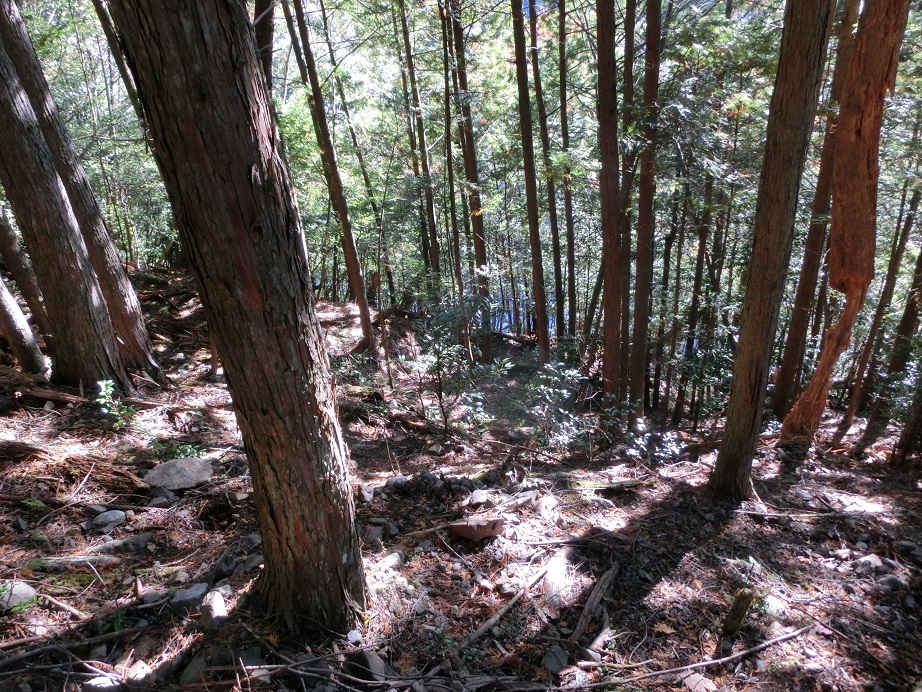 f:id:msx4:20170613161214j:plain f:id:msx4:20170613161214j:plain