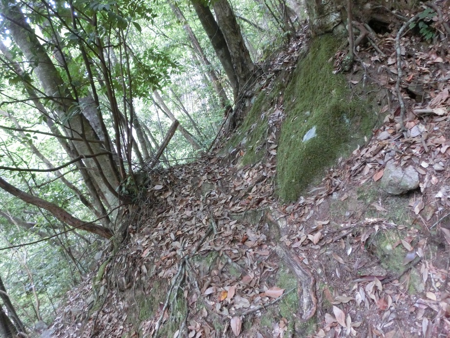 f:id:msx4:20170614013751j:plain