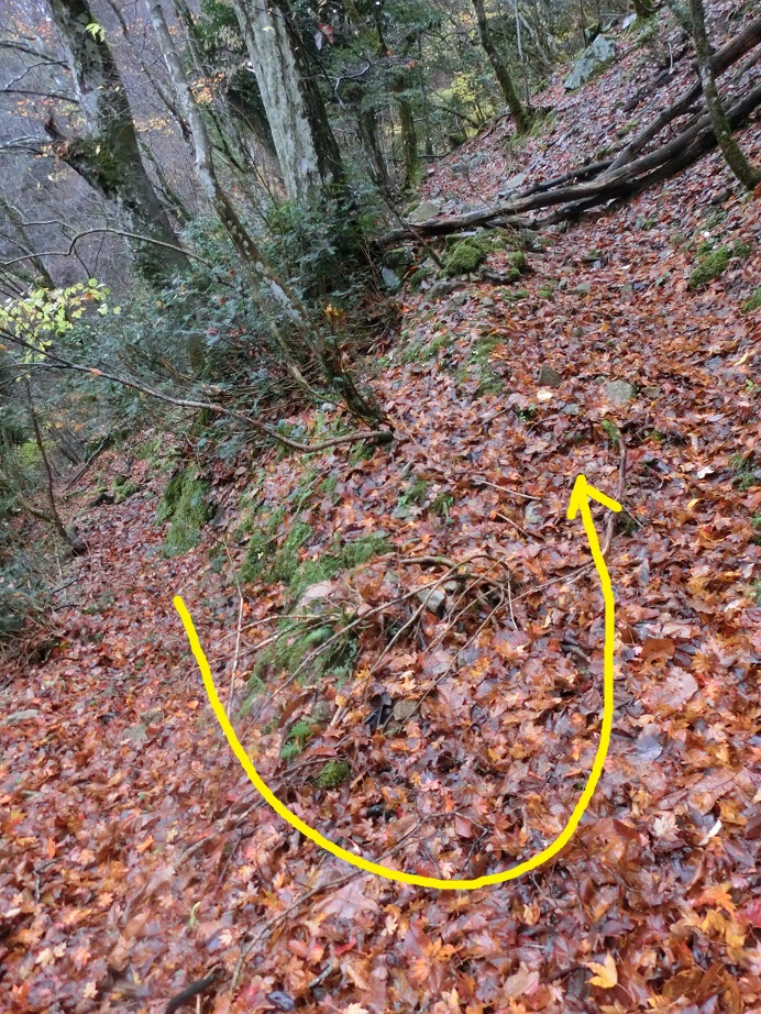 f:id:msx4:20170818214327j:plain