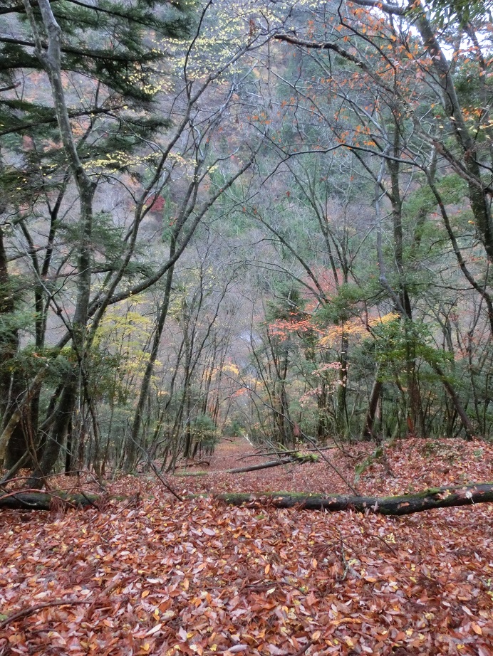 f:id:msx4:20170818220852j:plain