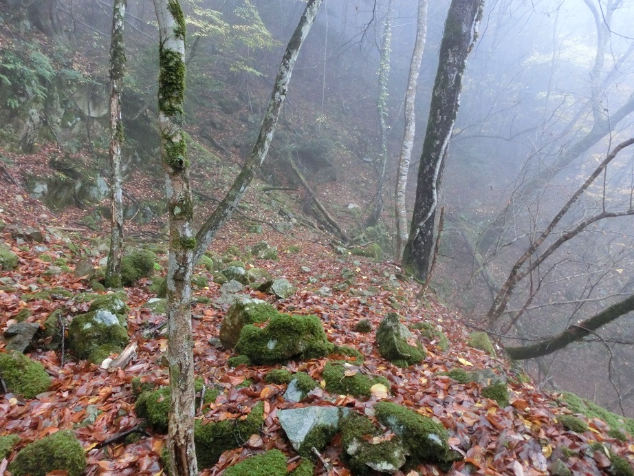 f:id:msx4:20170818222626j:plain