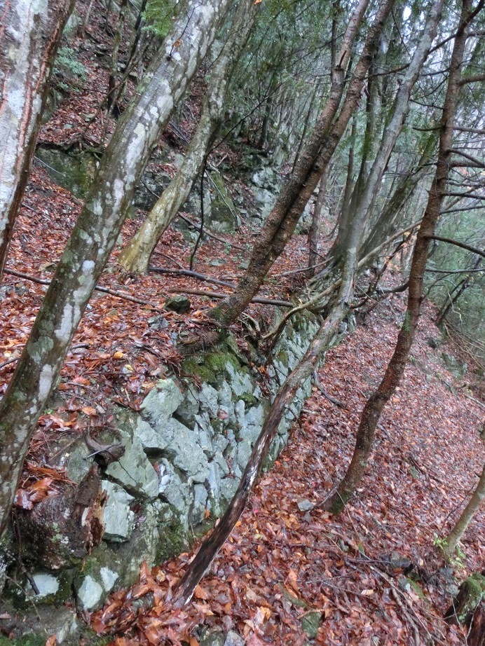 f:id:msx4:20170819055414j:plain