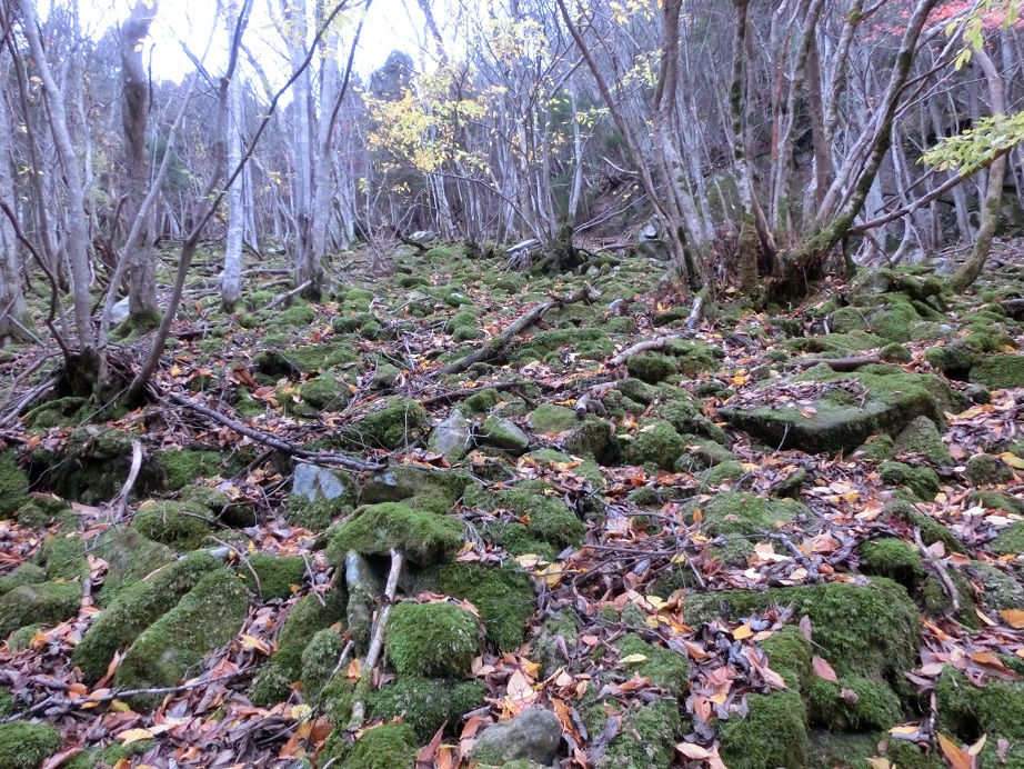 f:id:msx4:20170913203026j:plain