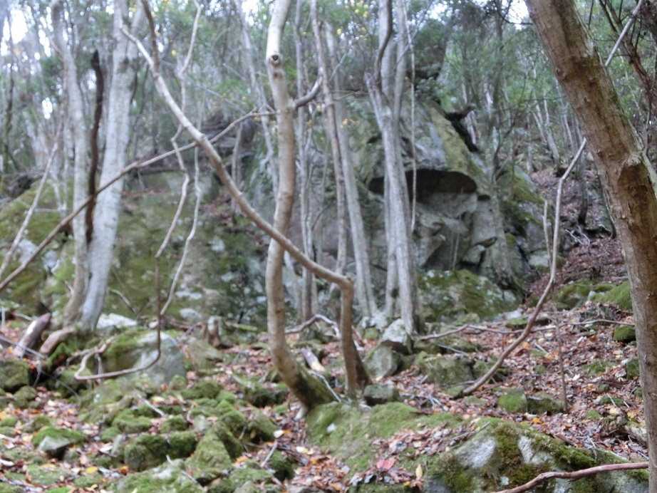 f:id:msx4:20170913203051j:plain