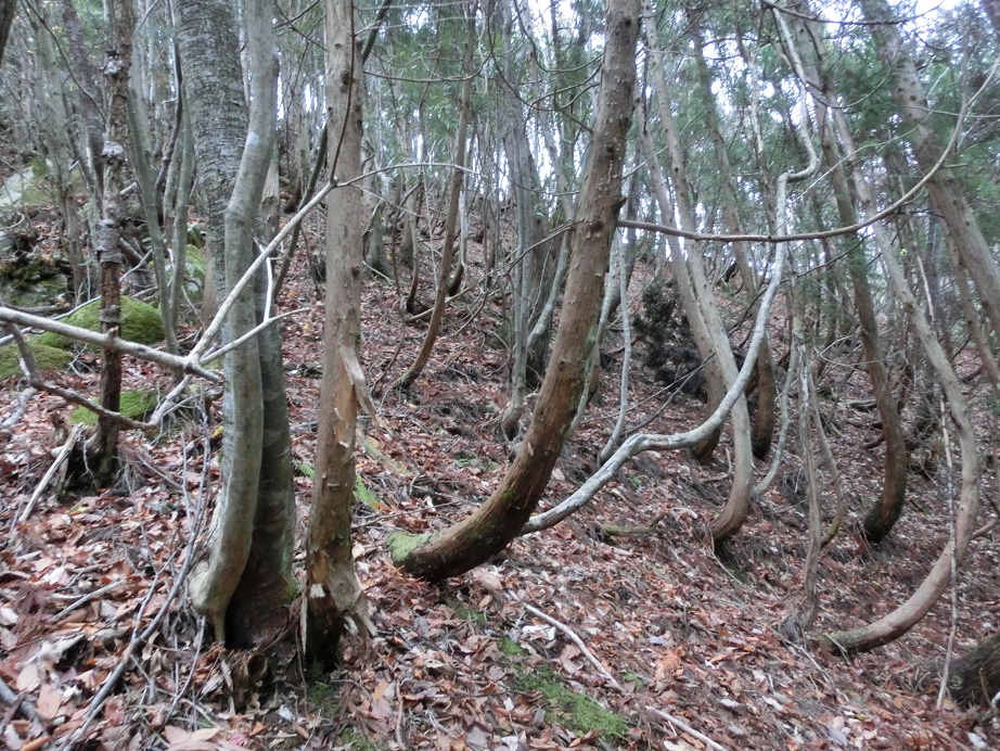 f:id:msx4:20170913203127j:plain