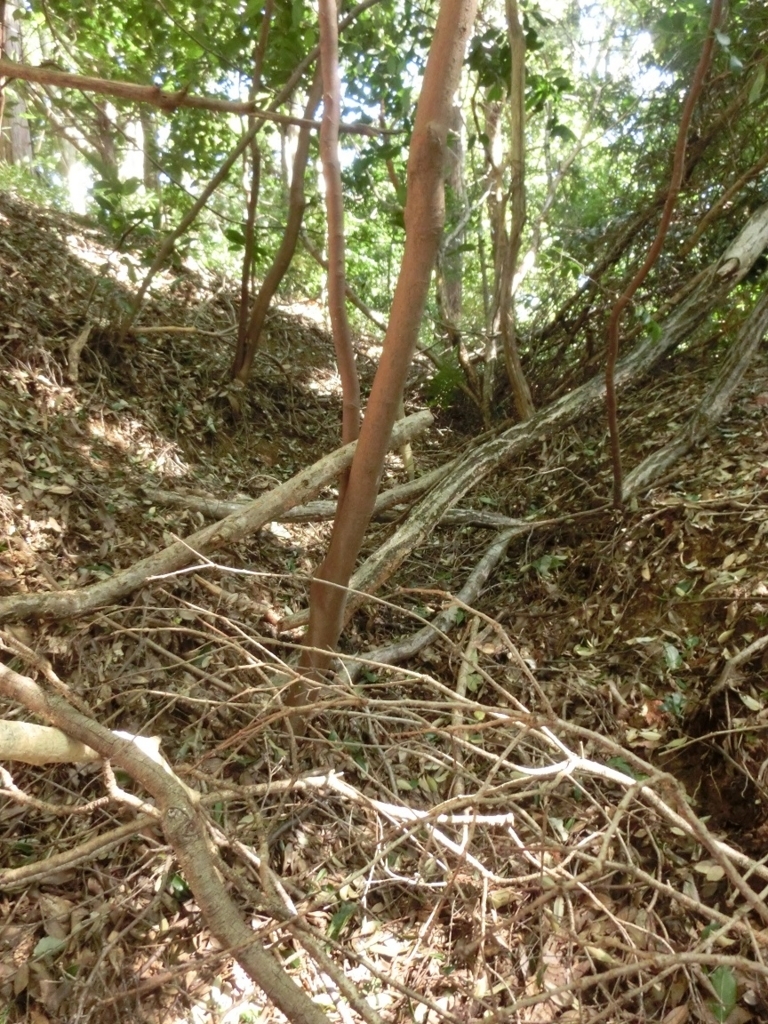 f:id:msx4:20170920213642j:plain