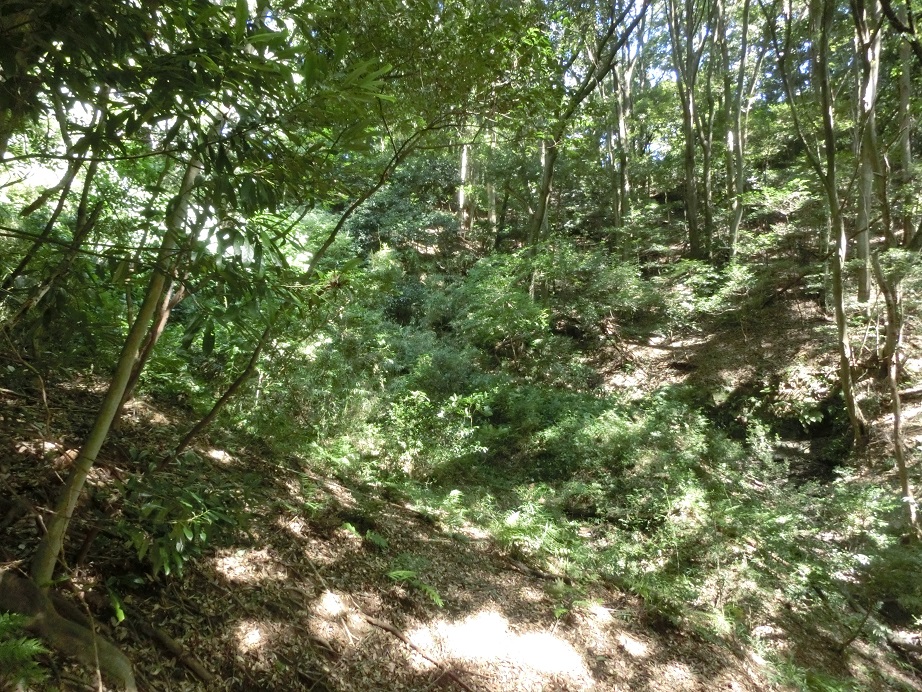 f:id:msx4:20170920214439j:plain