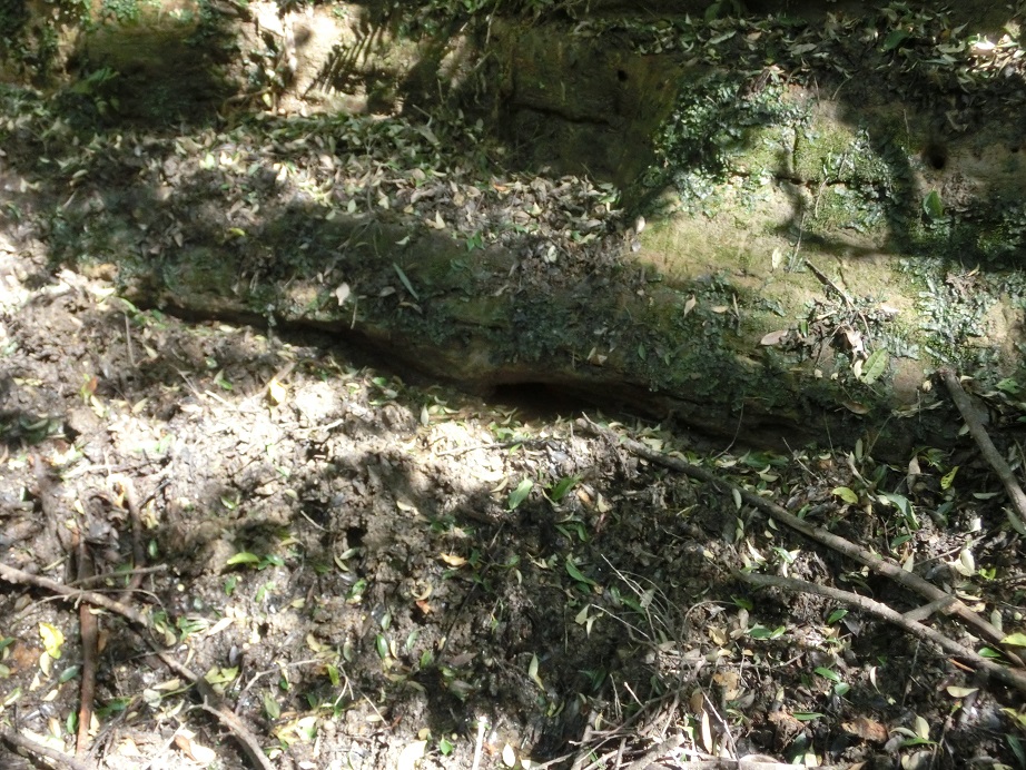 f:id:msx4:20170920215246j:plain