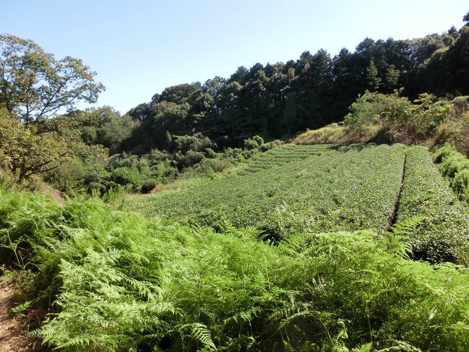 f:id:msx4:20170920220908j:plain