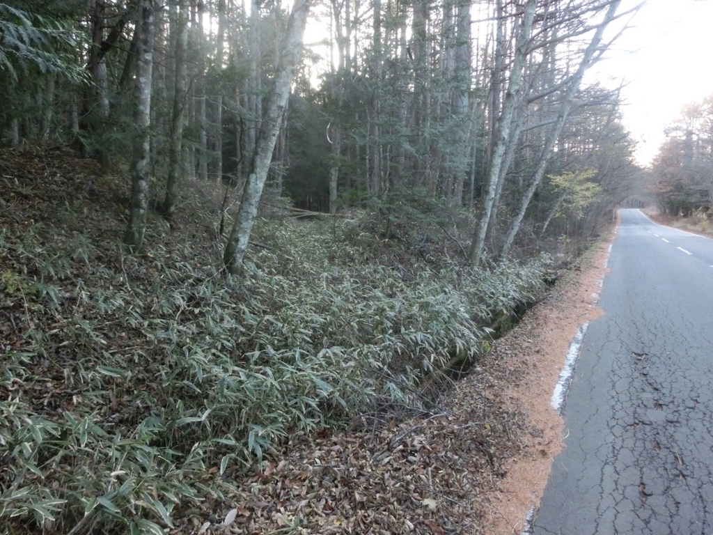 f:id:msx4:20180407011805j:plain f:id:msx4:20180407011805j:plain