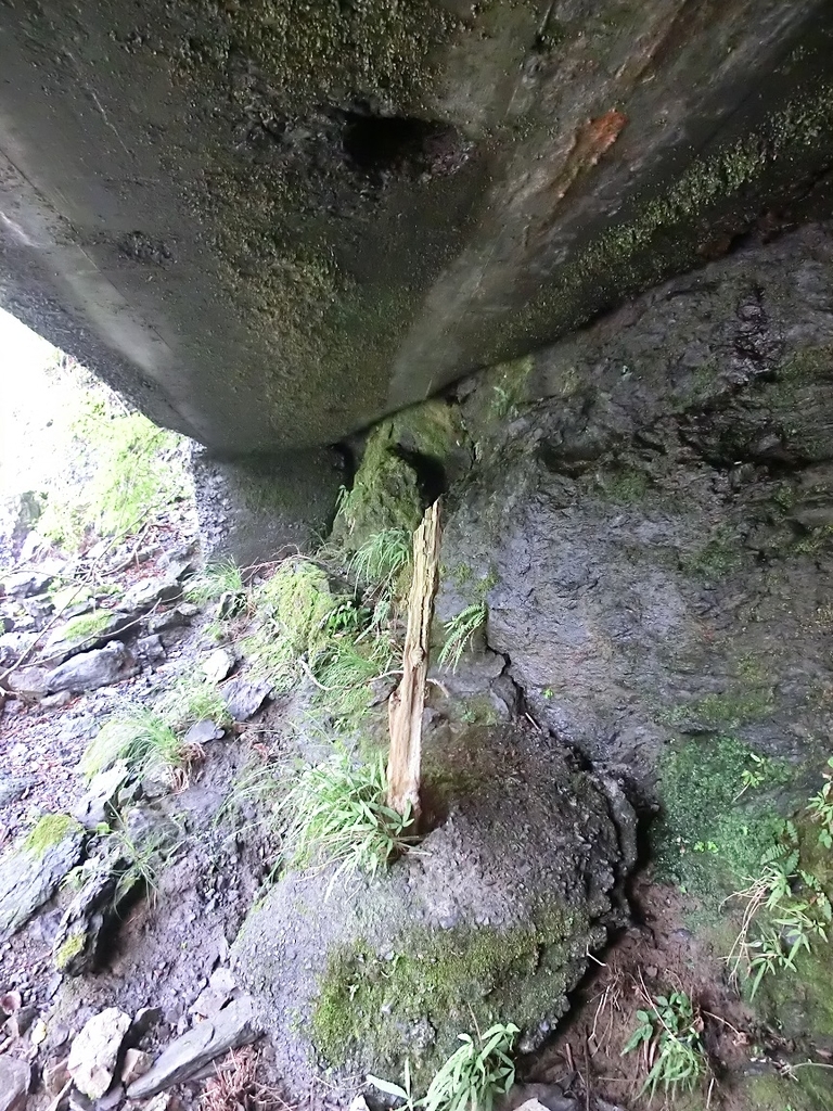 f:id:msx4:20181130153640j:plain