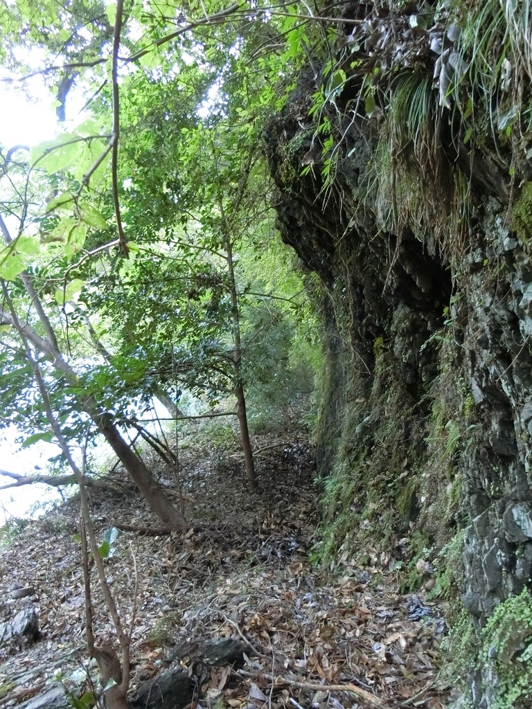 f:id:msx4:20181201223042j:plain