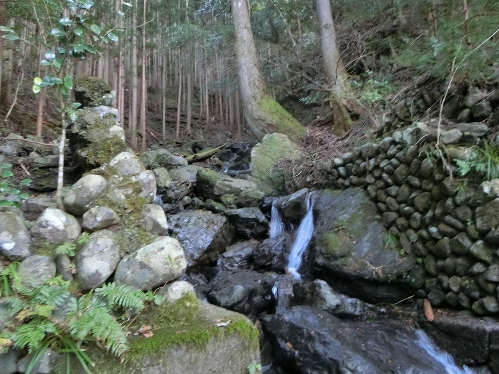 f:id:msx4:20181201223632j:plain