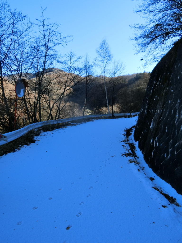 f:id:msx4:20181222210230j:plain