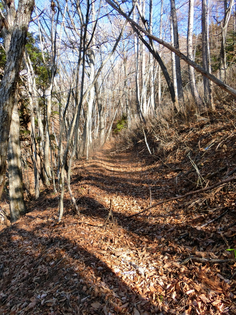 f:id:msx4:20181222211632j:plain