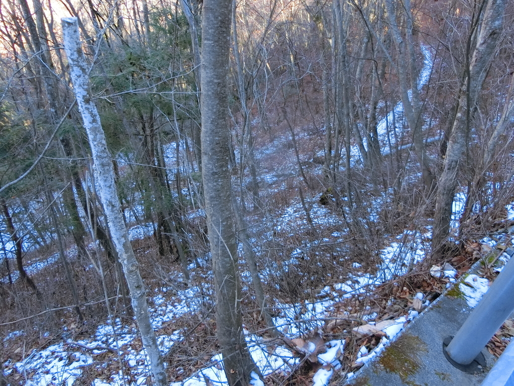 f:id:msx4:20181222222430j:plain