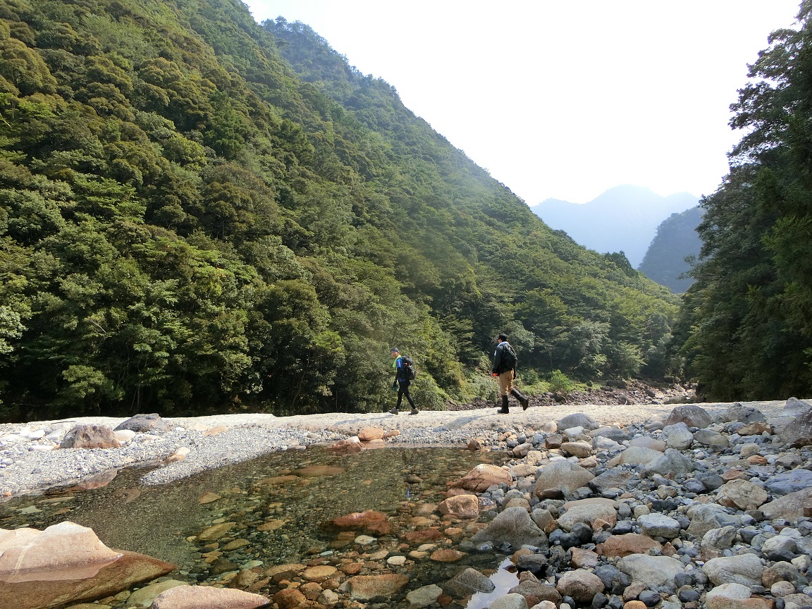 f:id:msx4:20190807213848j:plain