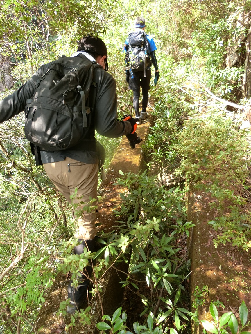 f:id:msx4:20190807214043j:plain