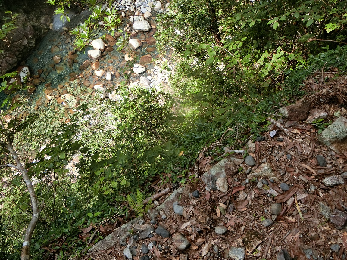 f:id:msx4:20190807214452j:plain