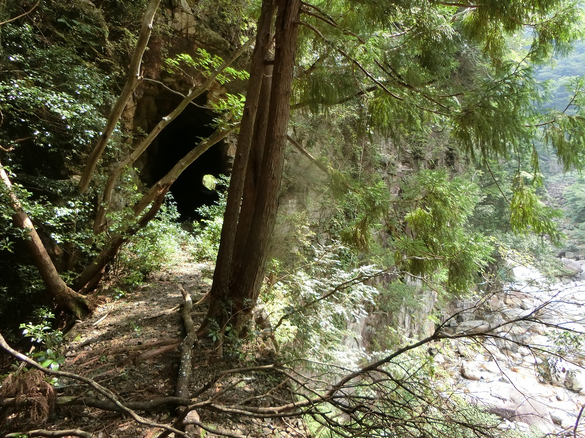 f:id:msx4:20190807215428j:plain