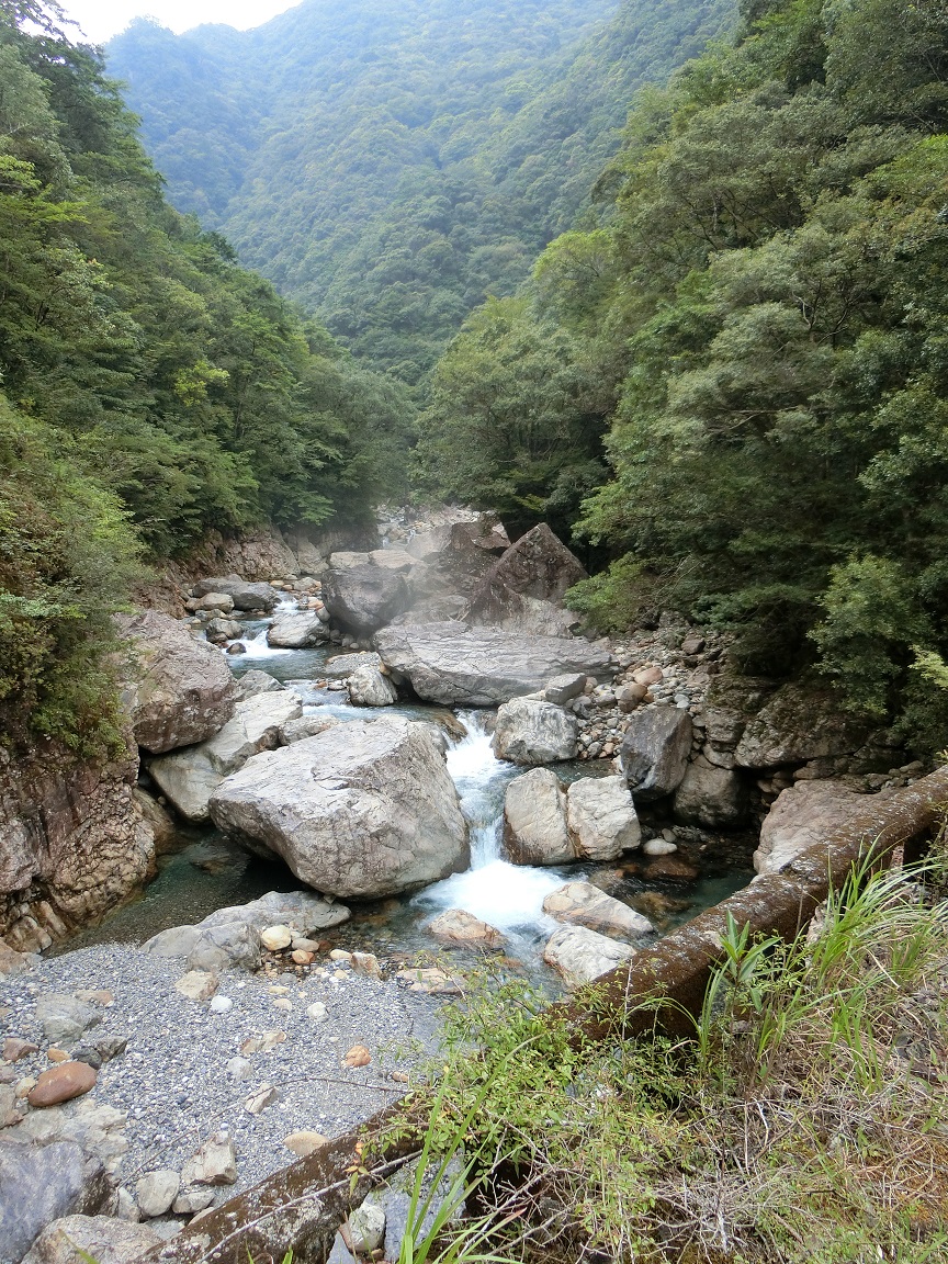 f:id:msx4:20190807222747j:plain