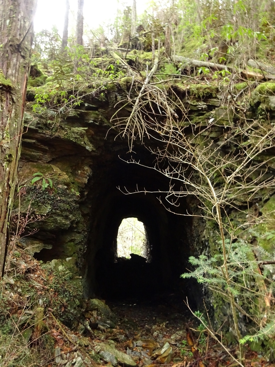 f:id:msx4:20200204224606j:plain