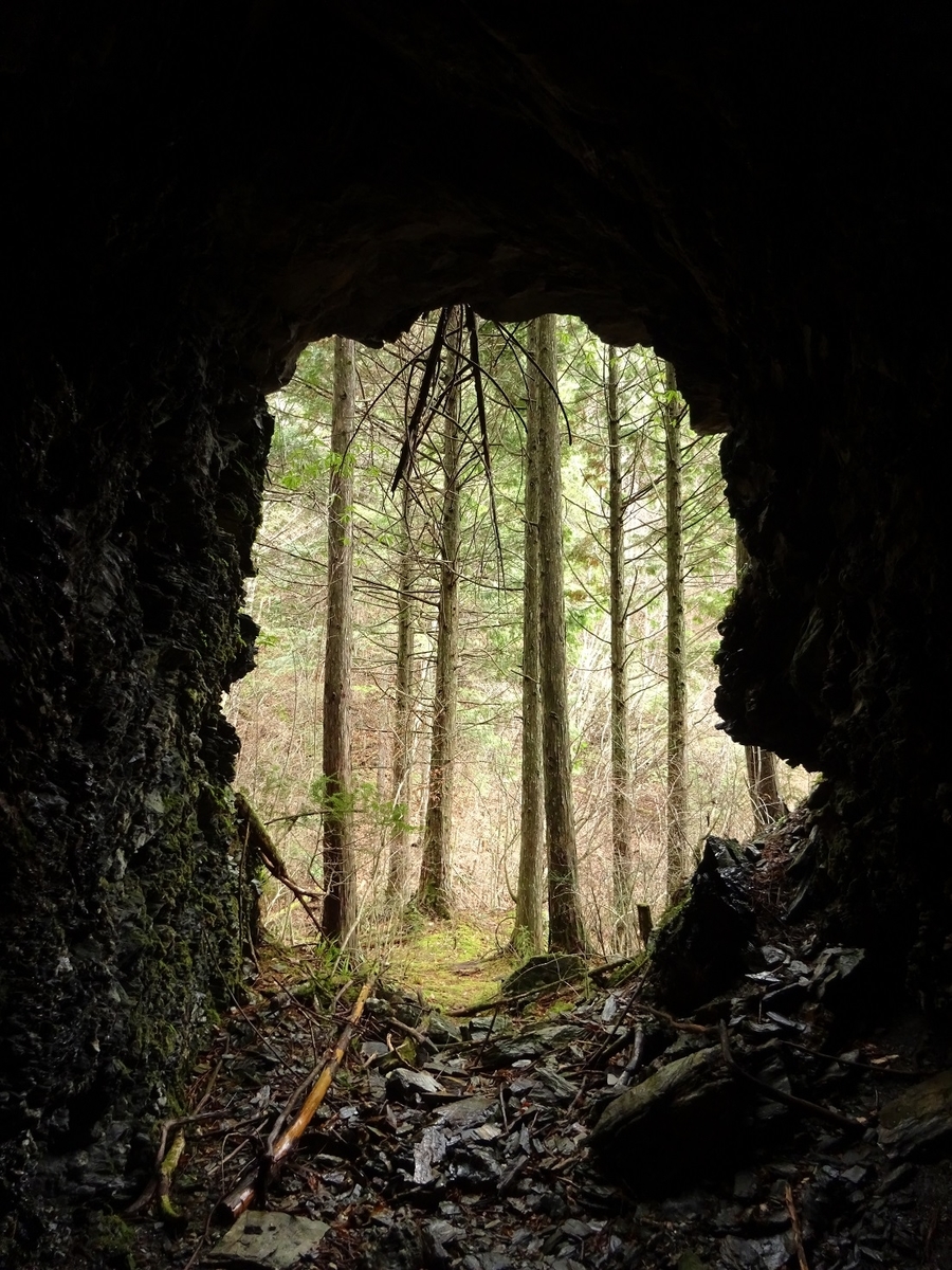 f:id:msx4:20200204225035j:plain