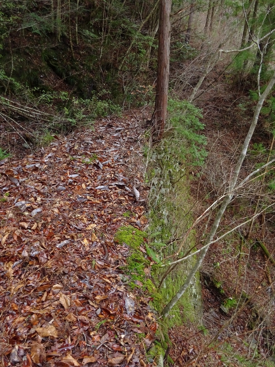 f:id:msx4:20200204225811j:plain