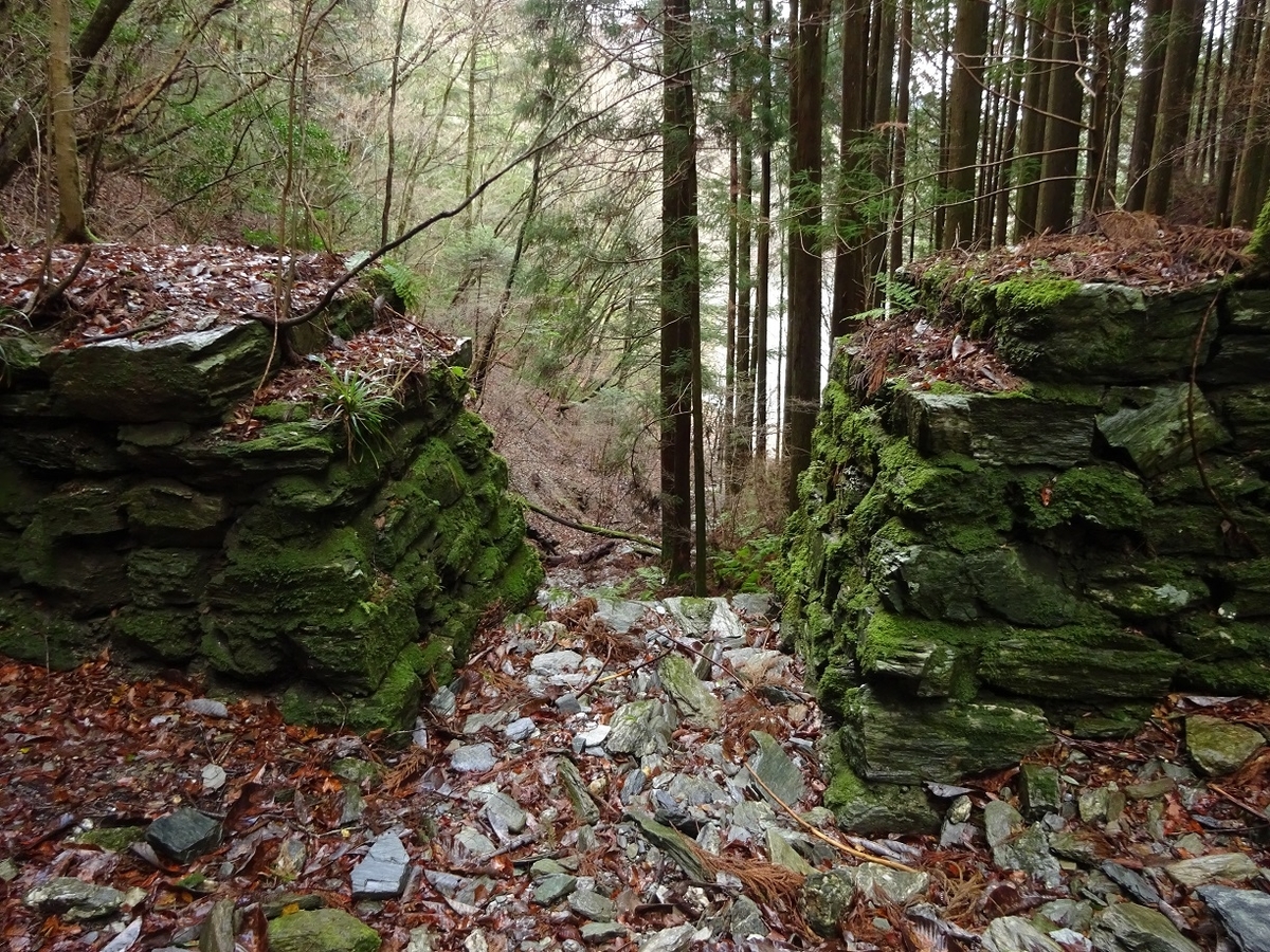 f:id:msx4:20200204231308j:plain