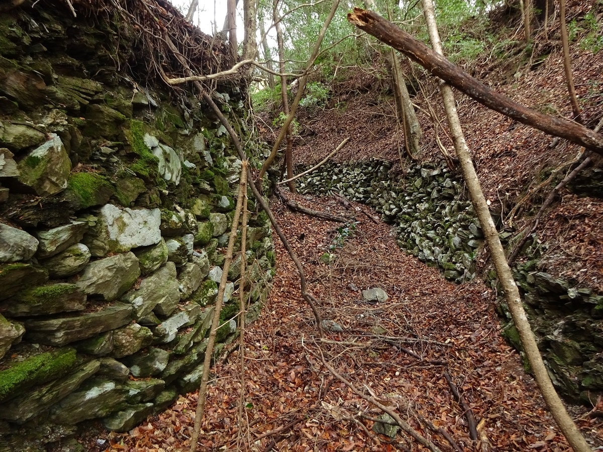 f:id:msx4:20200204232029j:plain